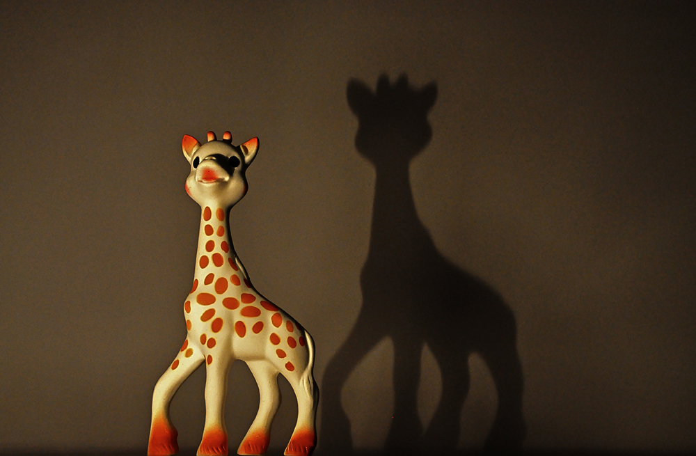 Songes d'une nuit envoûtée: photographie